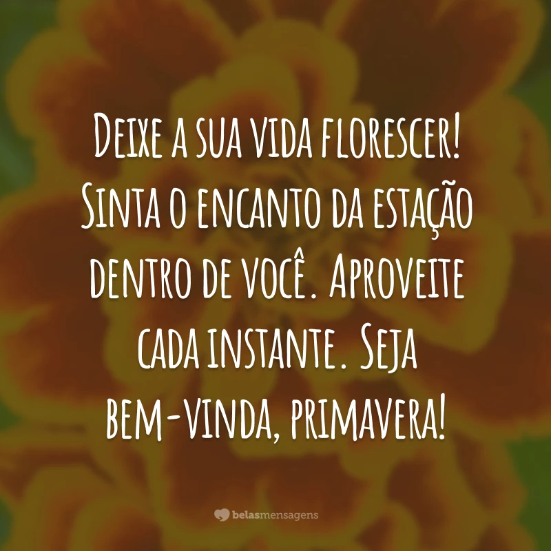 Deixe a sua vida florescer! Sinta o encanto da estação dentro de você. Aproveite cada instante. Seja bem-vinda, primavera!