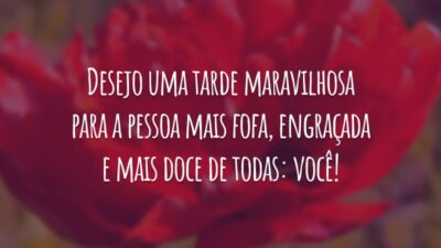 Desejo uma tarde maravilhosa para a pessoa mais fofa, engraçada e mais doce de todas: você!