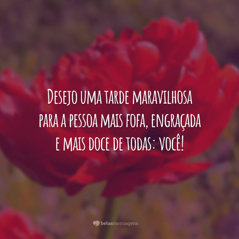 Desejo uma tarde maravilhosa para a pessoa mais fofa, engraçada e mais doce de todas: você!