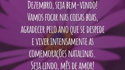 Dezembro, seja bem-vindo! Vamos focar nas coisas boas, agradecer pelo ano que se despede e viver intensamente as comemorações natalinas. Seja lindo, mês de amor!