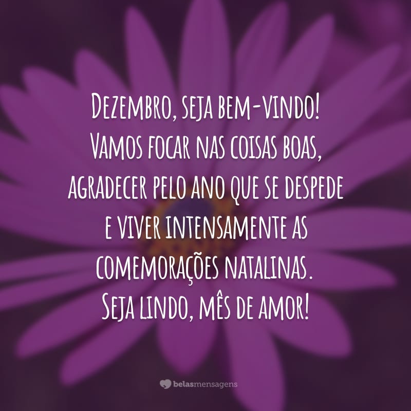 Dezembro, seja bem-vindo! Vamos focar nas coisas boas, agradecer pelo ano que se despede e viver intensamente as comemorações natalinas. Seja lindo, mês de amor!