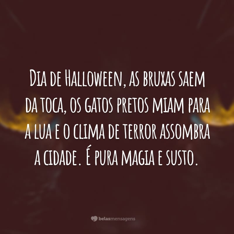 Dia de Halloween, as bruxas saem da toca, os gatos pretos miam para a lua e o clima de terror assombra a cidade. É pura magia e susto.