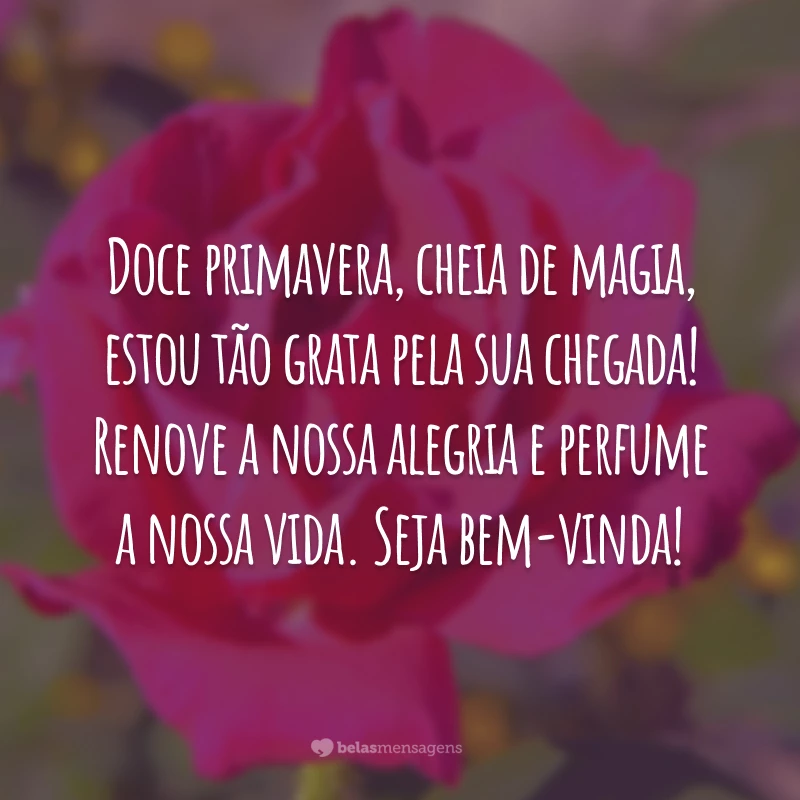 Doce primavera, cheia de magia, estou tão grata pela sua chegada! Renove a nossa alegria e perfume a nossa vida. Seja bem-vinda!