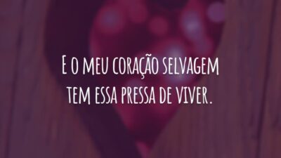 E o meu coração selvagem tem essa pressa de viver.