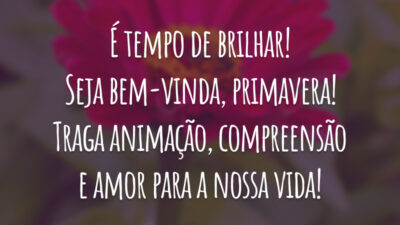 É tempo de brilhar! Seja bem-vinda, primavera! Traga animação, compreensão e amor para a nossa vida!