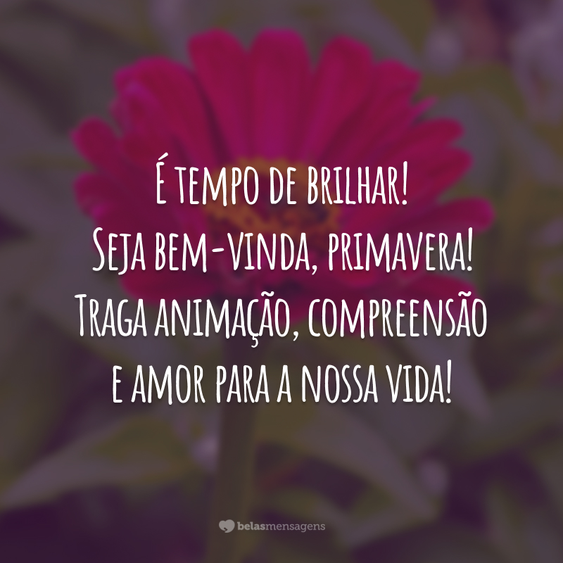 É tempo de brilhar! Seja bem-vinda, primavera! Traga animação, compreensão e amor para a nossa vida!