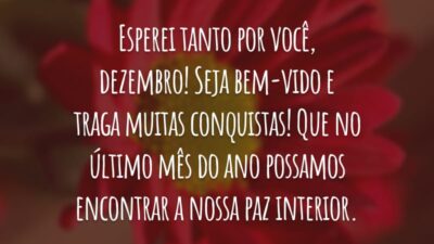 Esperei tanto por você, dezembro! Seja bem-vido e traga muitas conquistas! Que no último mês do ano possamos encontrar a nossa paz interior.