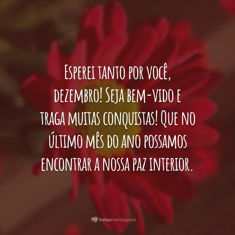 Esperei tanto por você, dezembro! Seja bem-vido e traga muitas conquistas! Que no último mês do ano possamos encontrar a nossa paz interior.