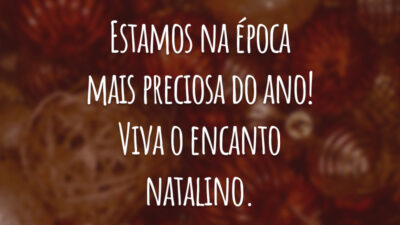 Estamos na época mais preciosa do ano! Viva o encanto natalino. Desejo muita prosperidade para a sua vida. Que você possa colher os frutos da sua dedicação. Feliz Natal, amor!