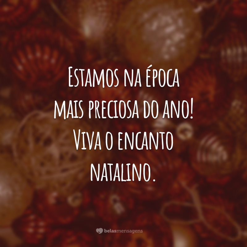 Estamos na época mais preciosa do ano! Viva o encanto natalino. Desejo muita prosperidade para a sua vida. Que você possa colher os frutos da sua dedicação. Feliz Natal, amor!