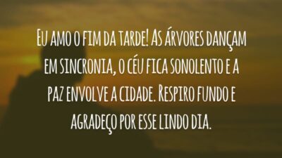 Eu amo o fim da tarde! As árvores dançam em sincronia, o céu fica sonolento e a paz envolve a cidade. Respiro fundo e agradeço por esse lindo dia.