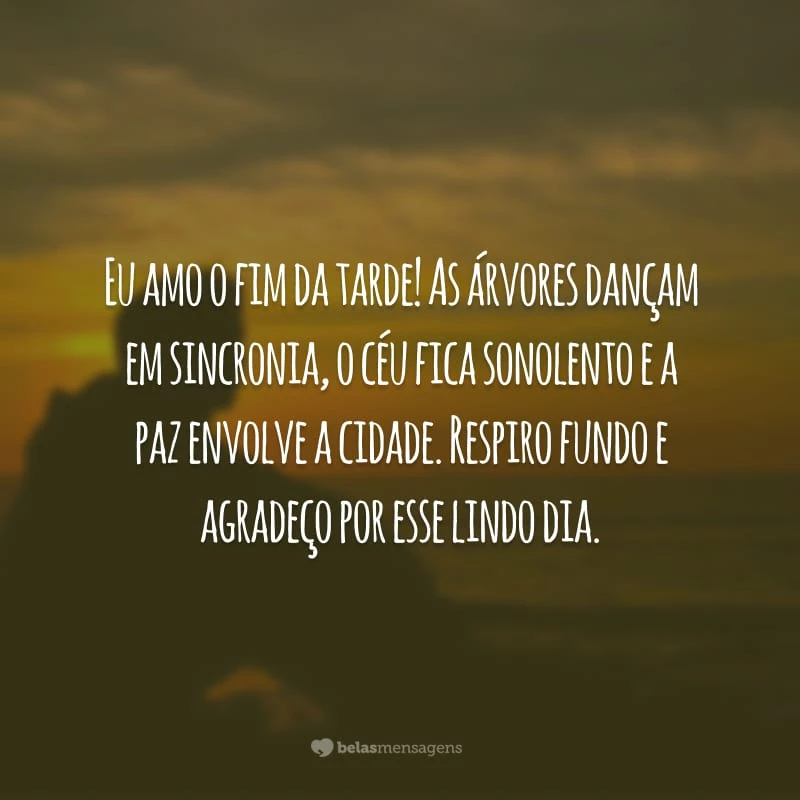 Eu amo o fim da tarde! As árvores dançam em sincronia, o céu fica sonolento e a paz envolve a cidade. Respiro fundo e agradeço por esse lindo dia.