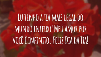 Eu tenho a tia mais legal do mundo inteiro! Meu amor por você é infinito. Feliz Dia da Tia!