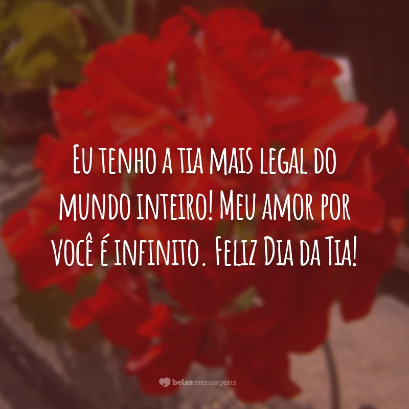 Eu tenho a tia mais legal do mundo inteiro! Meu amor por você é infinito. Feliz Dia da Tia!