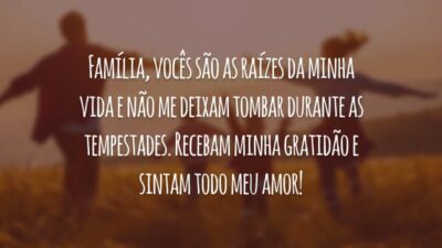 Família, vocês são as raízes da minha vida e não me deixam tombar durante as tempestades. Recebam minha gratidão e sintam todo meu amor!