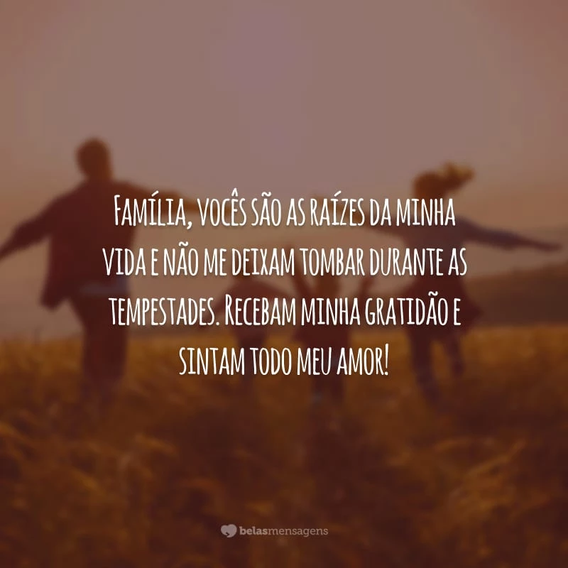 Família, vocês são as raízes da minha vida e não me deixam tombar durante as tempestades. Recebam minha gratidão e sintam todo meu amor!