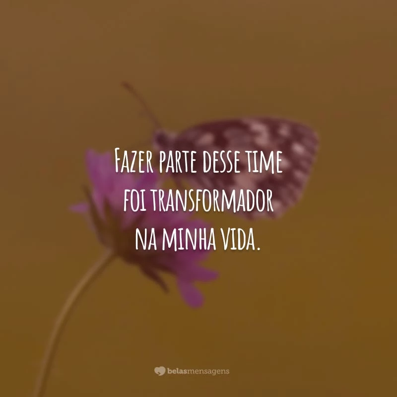 Fazer parte desse time foi transformador na minha vida. Só tenho que agradecer a oportunidade de ter trabalhado com profissionais tão competentes.