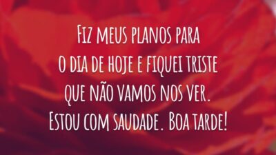 Fiz meus planos para o dia de hoje e fiquei triste que não vamos nos ver. Estou com saudade. Boa tarde!