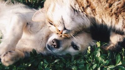 60 frases fofas para amigos que expressam muito carinho e amor