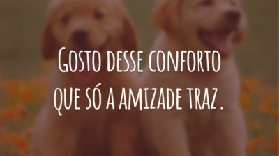 Gosto desse conforto que só a amizade traz.