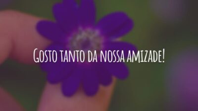 Gosto tanto da nossa amizade! Essa química especial que envolve o nosso ser e nos deixa sempre em sintonia. Vamos pelo mesmo caminho, lado a lado, até o fim!