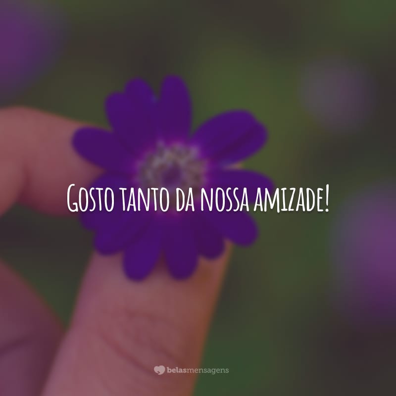 Gosto tanto da nossa amizade! Essa química especial que envolve o nosso ser e nos deixa sempre em sintonia. Vamos pelo mesmo caminho, lado a lado, até o fim!