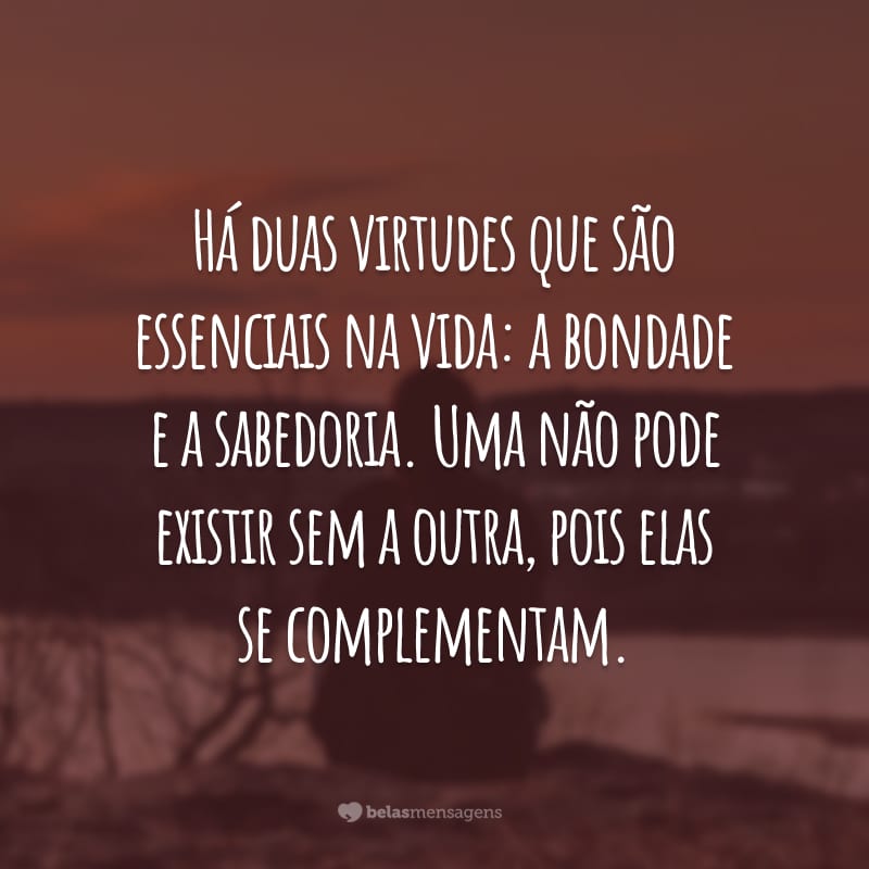 Há duas virtudes que são essenciais na vida: a bondade e a sabedoria. Uma não pode existir sem a outra, pois elas se complementam.