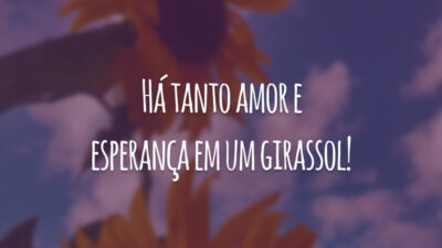 Há tanto amor e esperança em um girassol!