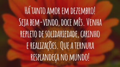 Há tanto amor em dezembro! Seja bem-vindo, doce mês. Venha repleto de solidariedade, carinho e realizações. Que a ternura resplandeça no mundo!