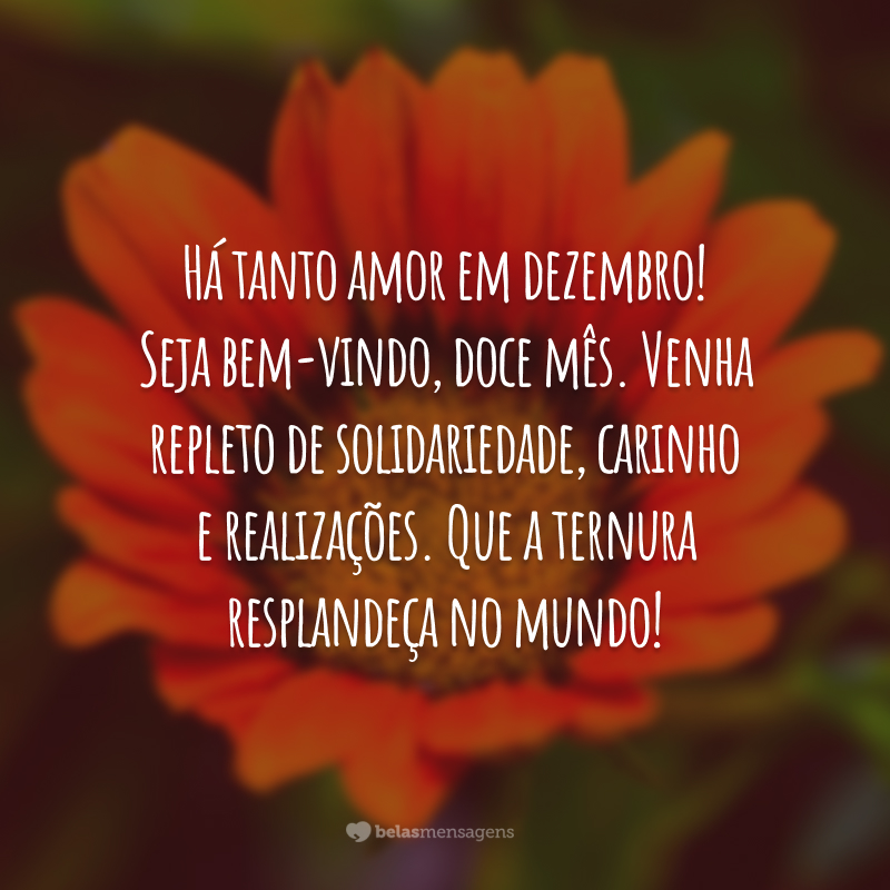 Há tanto amor em dezembro! Seja bem-vindo, doce mês. Venha repleto de solidariedade, carinho e realizações. Que a ternura resplandeça no mundo!