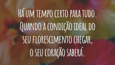 Há um tempo certo para tudo. Quando a condição ideal do seu florescimento chegar, o seu coração saberá.