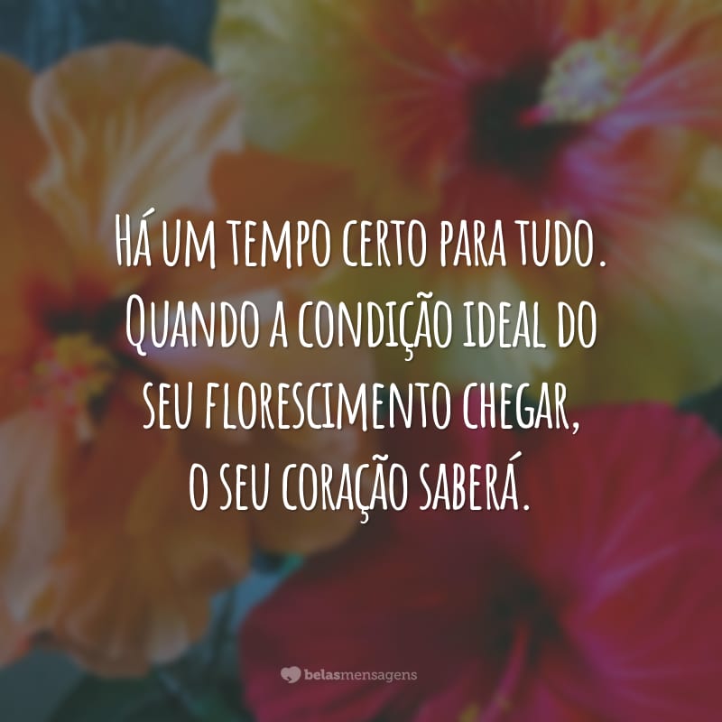 Há um tempo certo para tudo. Quando a condição ideal do seu florescimento chegar, o seu coração saberá.