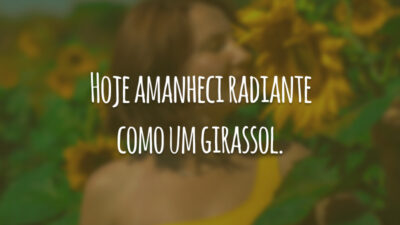 Hoje amanheci radiante como um girassol.