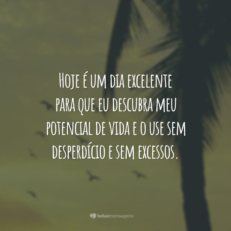 Hoje é um dia excelente para que eu descubra meu potencial de vida e o use sem desperdício e sem excessos.