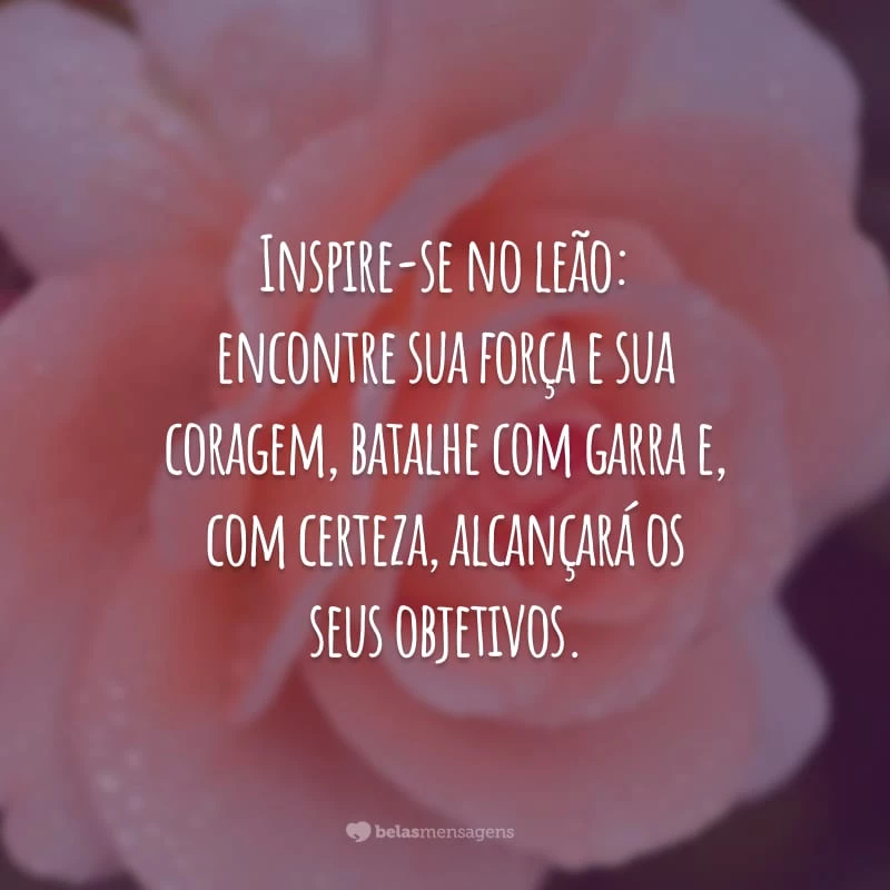 Inspire-se no leão: encontre sua força e sua coragem, batalhe com garra e, com certeza, alcançará os seus objetivos.