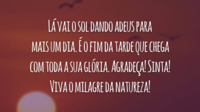 Lá vai o sol dando adeus para mais um dia. É o fim da tarde que chega com toda a sua glória. Agradeça! Sinta! Viva o milagre da natureza!