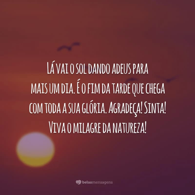 Lá vai o sol dando adeus para mais um dia. É o fim da tarde que chega com toda a sua glória. Agradeça! Sinta! Viva o milagre da natureza!