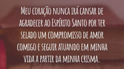 Meu coração nunca irá cansar de agradecer ao Espírito Santo por ter selado um compromisso de amor comigo e seguir atuando em minha vida a partir da minha crisma.