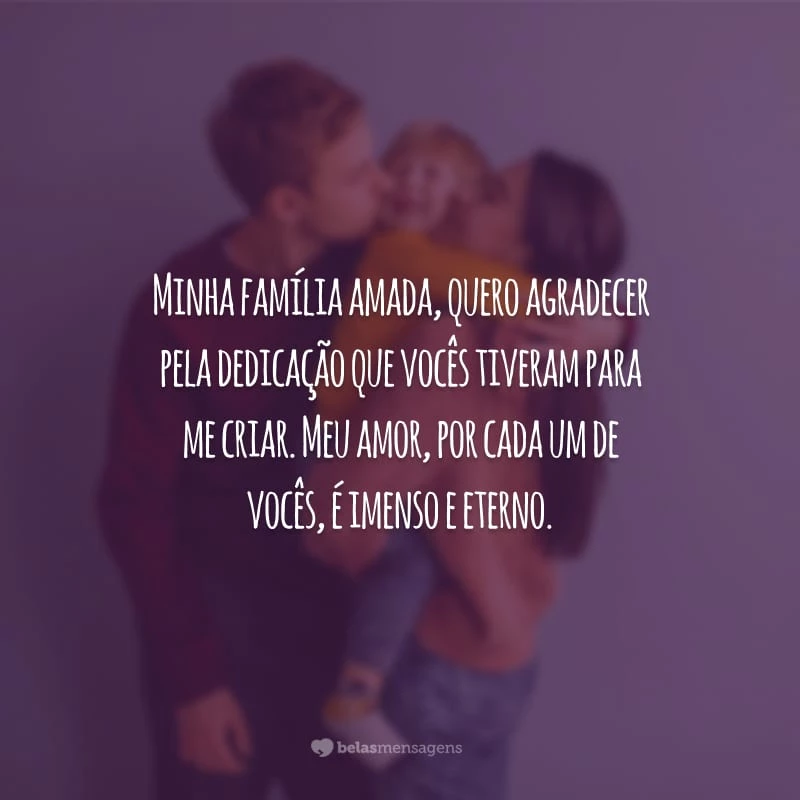 Minha família amada, quero agradecer pela dedicação que vocês tiveram para me criar. Meu amor, por cada um de vocês, é imenso e eterno.