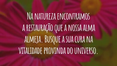 Na natureza encontramos a restauração que a nossa alma almeja. Busque a sua cura na vitalidade provinda do universo.