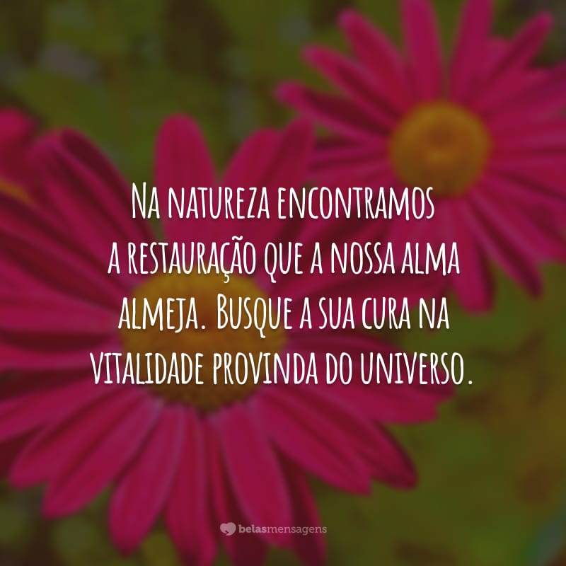 Na natureza encontramos a restauração que a nossa alma almeja. Busque a sua cura na vitalidade provinda do universo.