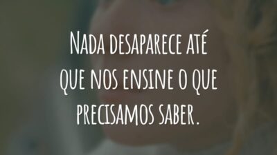 Nada desaparece até que nos ensine o que precisamos saber.