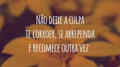 Não deixe a culpa te corroer, se arrependa e recomece outra vez.