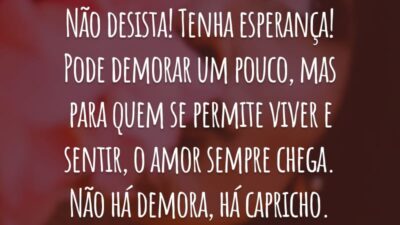 Não desista! Tenha esperança! Pode demorar um pouco, mas para quem se permite viver e sentir, o amor sempre chega. Não há demora, há capricho.