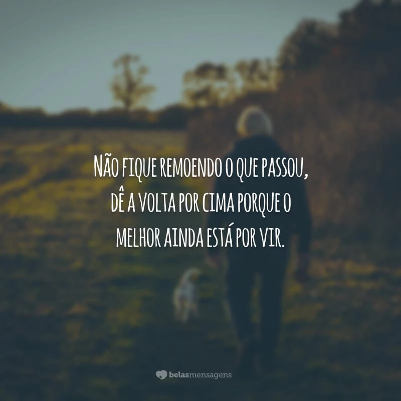 💋FRASE DO DIA💋 Levanta, sacode a poeira e dá a volta por cima