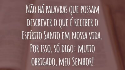Não há palavras que possam descrever o que é receber o Espírito Santo em nossa vida. Por isso, só digo: muito obrigado, meu Senhor!