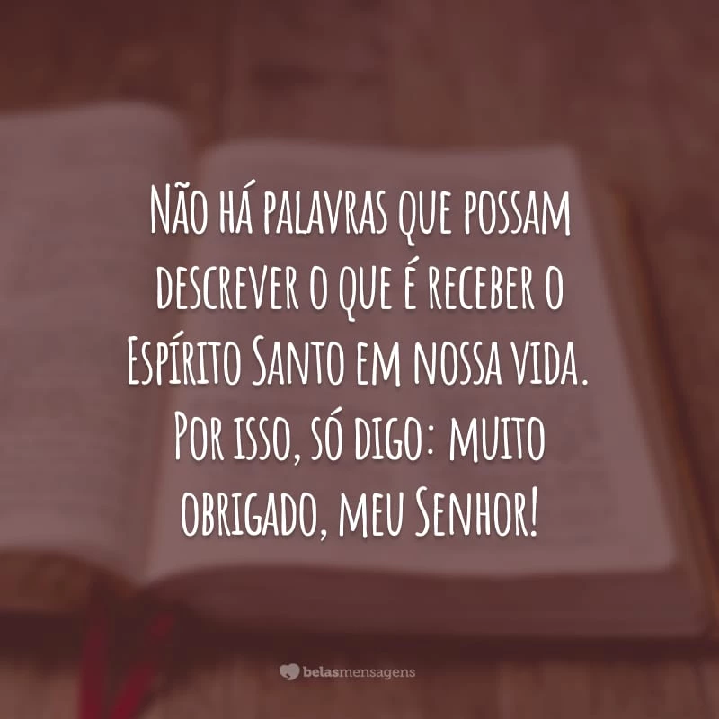 Não há palavras que possam descrever o que é receber o Espírito Santo em nossa vida. Por isso, só digo: muito obrigado, meu Senhor!