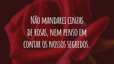 Não mandarei cinzas de rosas, nem penso em contar os nossos segredos.