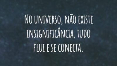 No universo, não existe insignificância, tudo flui e se conecta.