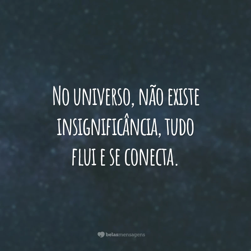 No universo, não existe insignificância, tudo flui e se conecta.